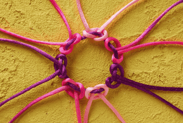 The Power of Theme: How to Make Sense of a Multi-Passionate Life