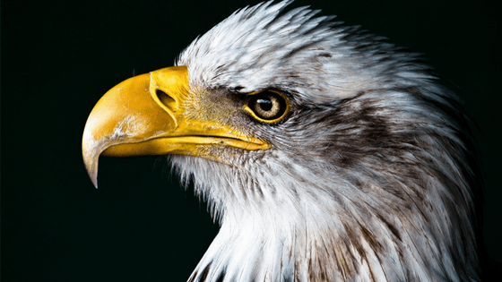 How To Stop Working On Yourself And Find Yourself Instead